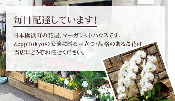 毎日配達しています！日本橋浜町の花屋マーガレットハウスです。ZeepTokyoのコンサートライブ公演の花はお任せください。