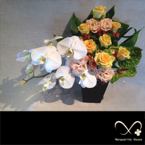 【事例30】U様より奥様様へ結婚記念日に贈られた存在感のある胡蝶蘭を使った豪華なアレンジメント