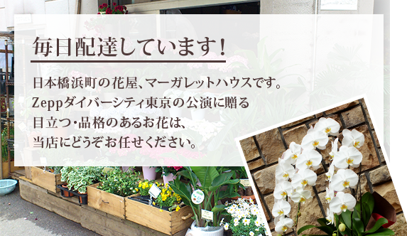 毎日配達しています！日本橋浜町の花屋マーガレットハウスです。Zeepダイバーシティ東京のコンサートライブ公演の花はお任せください。