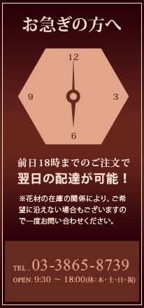 明治座へのお祝い花贈りでお急ぎの方へ　前日18時までのご注文で翌日の配達が可能