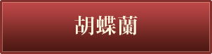 舞台出演コンサート公演祝い胡蝶蘭はこちら