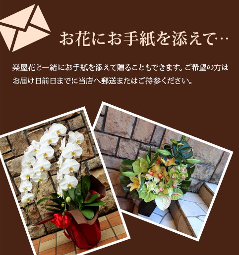 Zeppダイバーシティ東京楽屋花にお手紙を添えて