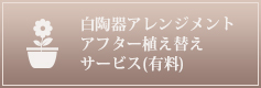 白陶器アレンジメントのアフター植え替えサービス（有料）